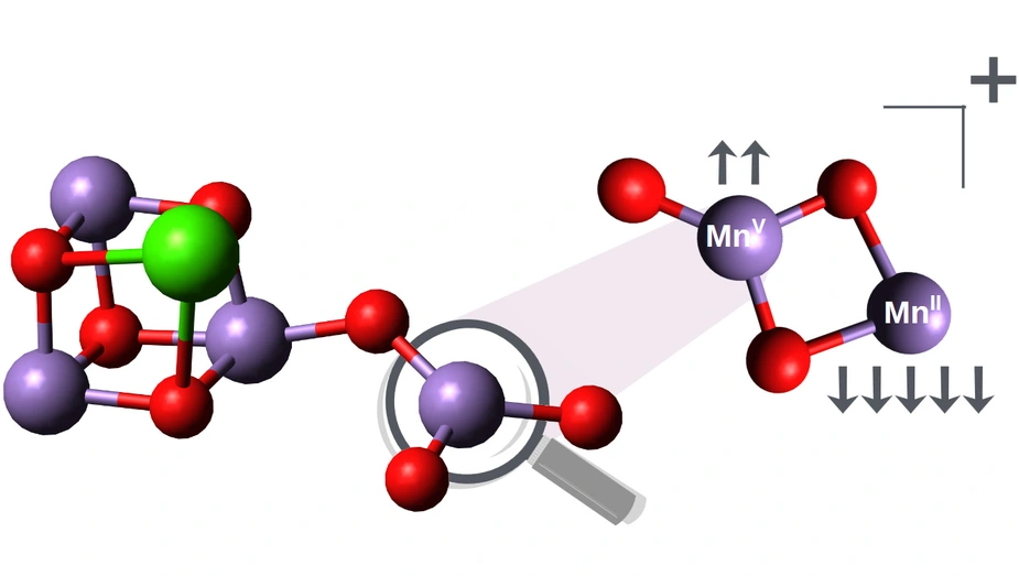 Manganese oxide cluster