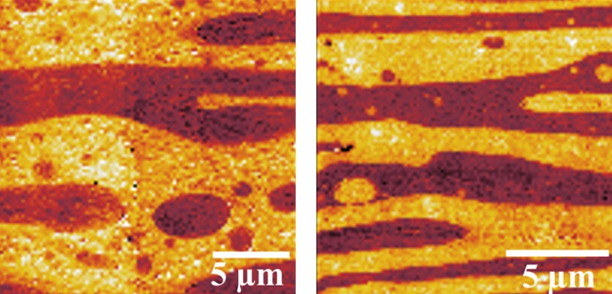 Schichtstrukturen zweier PVDF/PLLA-Mischungen in der Nano-IR-Bildgebung © TU Eindhoven/HZB